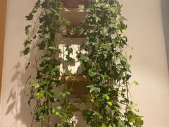 -瓦舍茶馆(聚源路店)