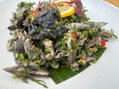 -甘思咪哚·云南艺术餐厅(天河广百店)