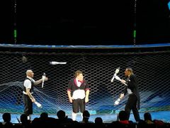 -珠海横琴长隆《卡卡虎奇遇记》