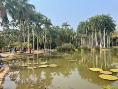-中国科学院西双版纳热带植物园