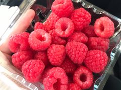 -T11生鲜超市(朝阳公园店)