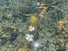 -丽江泸沽湖景区