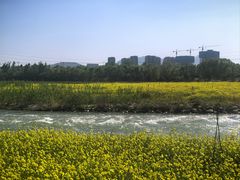 -永定河休闲森林公园