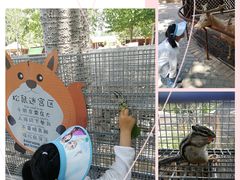 -北戴河集发农业梦想王国