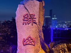 -富斯特索道