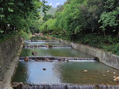 -广州白江湖森林公园