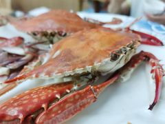 清蒸梭子蟹-北戴河庆山饭店·海鲜砂锅粥(北戴河黑石路店)