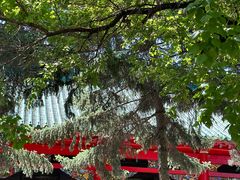 -哈尔滨极乐寺