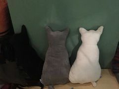 -ZooYoo佐佑咖啡(鼓楼店)