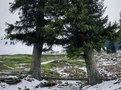 -新疆那拉提国家旅游度假区