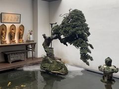 -觀芷隐轩