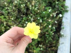 -南澳海滩