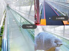 -牛鱼嘴原始生态风景区