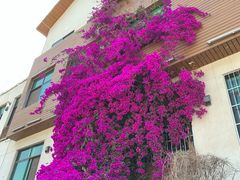 -宋记冕宁土菜馆(海门渔村二店)