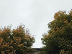 -台儿庄古城