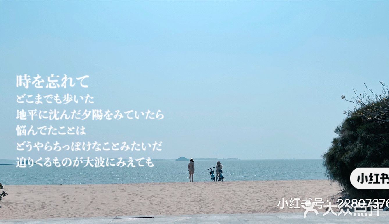 #厦门国际会展海滩#--10KM挑战失败