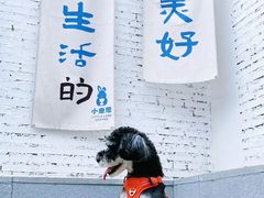 -小意思咖啡店(草桥店)