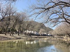 -鹿亭中村