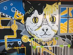-美联众合宠物医院·爱萌分院·内外科·猫科中心