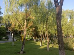 -西安世博园