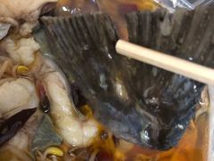 -雲蜀龙阁·金牌水煮鱼(方庄店)