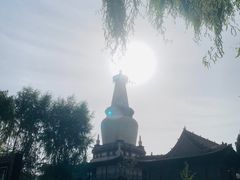 -张掖大佛寺景区