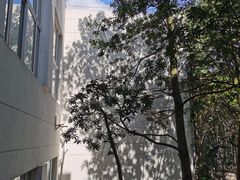 -苏州城市学院