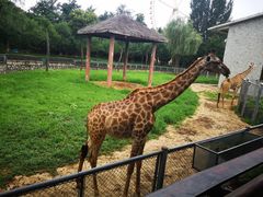 -石家庄市动物园