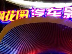 -枫花园汽车电影院(朝阳公园店)
