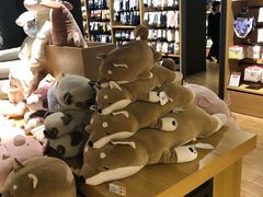 -九木杂物社(恒隆广场店)