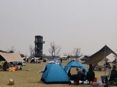 -春花秋色城市公园