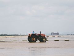 -日照海滨国家森林公园