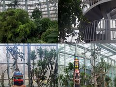 -郑州植物园
