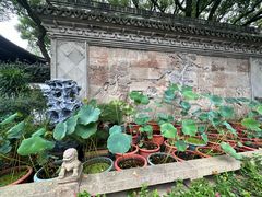 -上海醉白池公园
