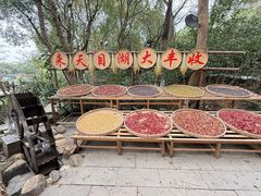 -天目湖山水园