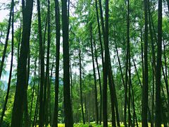 -硗碛藏寨·神木垒景区