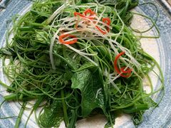 丝瓜苗-后海16号·北京私房菜