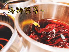 -龍歌自助小火锅(市南金茂湾店)