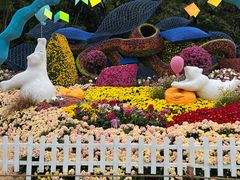 -上海共青森林公园