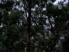 -成都安仁福朋喜来登酒店