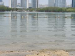 -天鹅湖体育公园