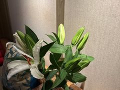 -和子足浴SPA会馆(梁溪店)