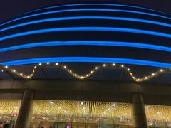 -珠海横琴长隆《卡卡虎奇遇记》