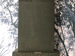 -上海长江河口科技馆