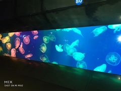 -成都浩海立方海洋公园