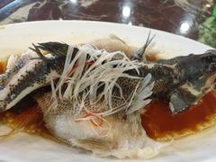 -赢融印象•龙泉店•清真云南菜•民族菜(小菜园店)