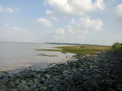 -吴淞炮台湾湿地森林公园烧烤区