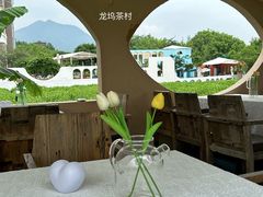 -龙坞茶村