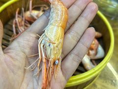 -百里鲜(羚羊峡古栈道森林公园店)