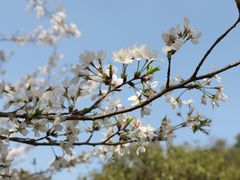 -贵阳市花溪国家城市湿地公园